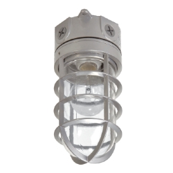 Cooper Lighting LLC VT100G